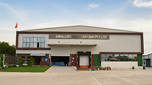 emballiso isothermal-packaging india